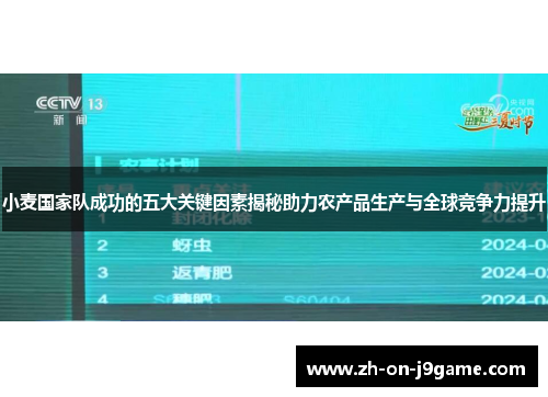 小麦国家队成功的五大关键因素揭秘助力农产品生产与全球竞争力提升