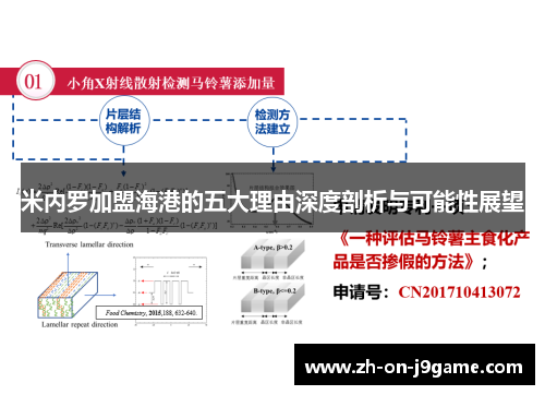 米内罗加盟海港的五大理由深度剖析与可能性展望